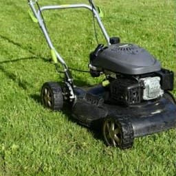 During: lawn mower on freshly cut grass